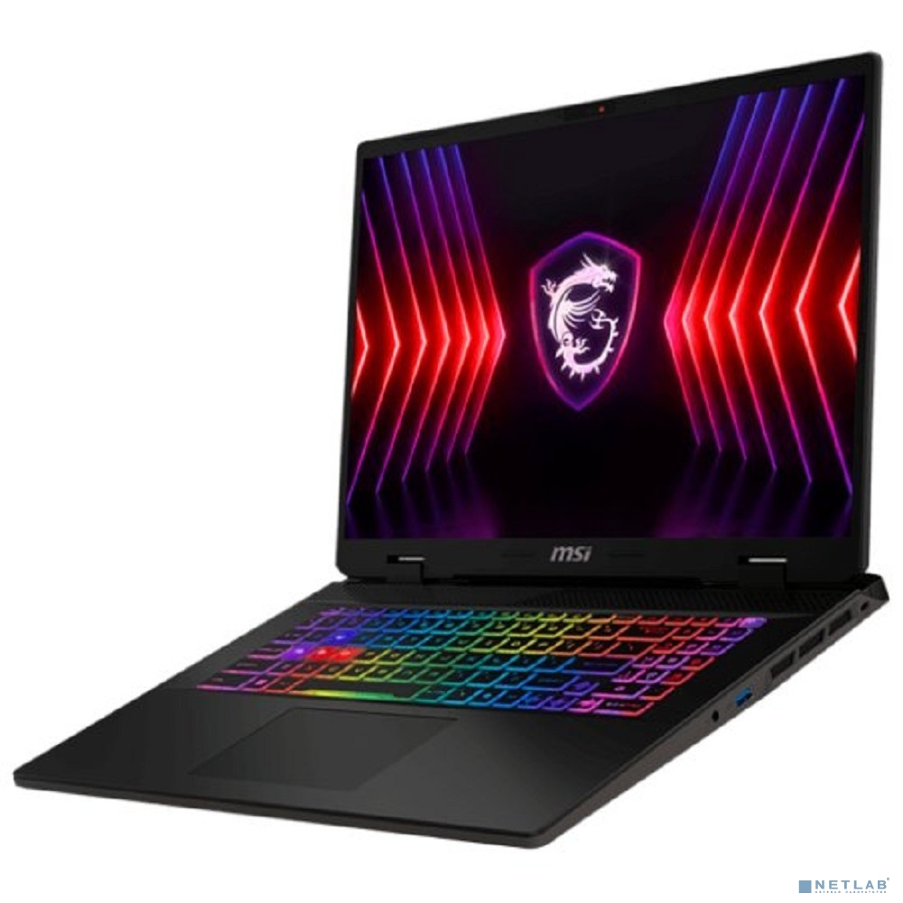 MSI Sword 17 HX B13VEKG-200XRU Grey 17"