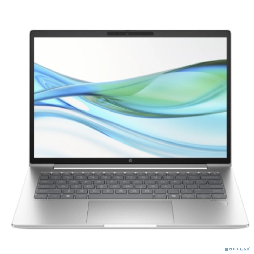 HP Probook 440 G11 Pike Silver 14"