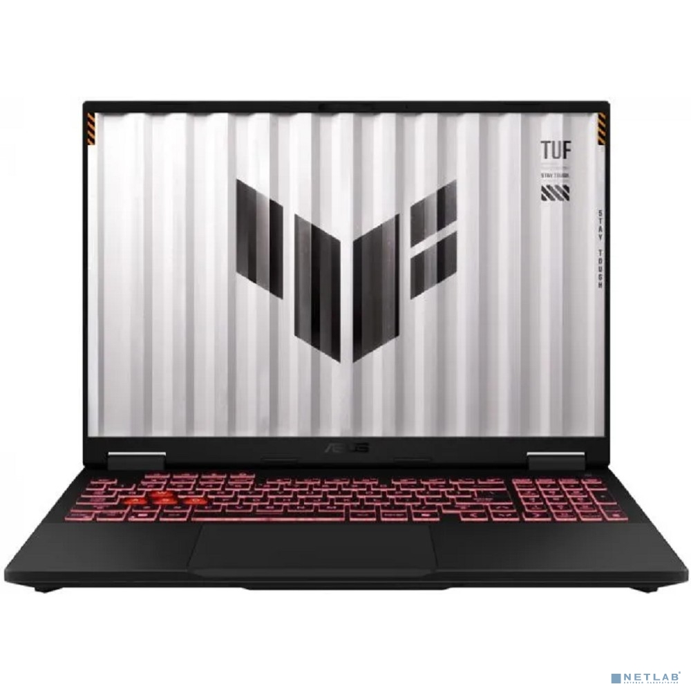 ASUS TUF Gaming A16 FA608WI-QT040 Gray 16"