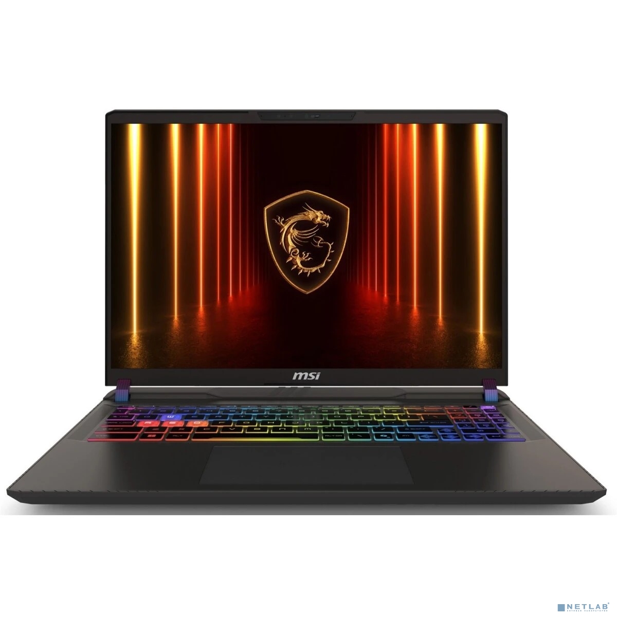 MSI Vector 16 HX AI A2XWHG-080XRU Grey 16"