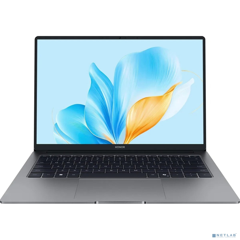 Honor MagicBook X14 FRG-X grey 14"