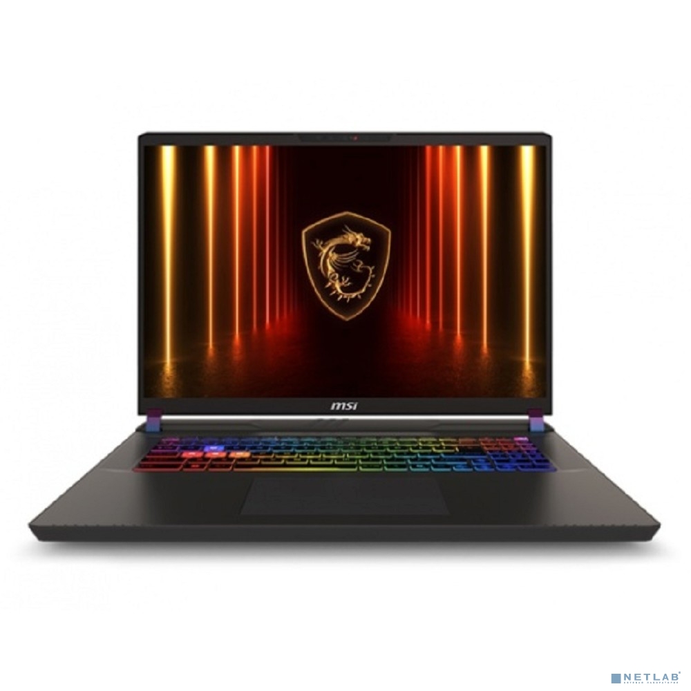 MSI Vector 17 HX A2XWJG Gray 17"